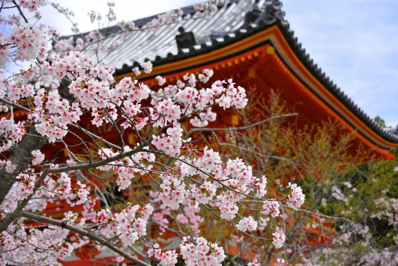 Stay SAKURA 京都 朱雀大路 エクステリア 写真